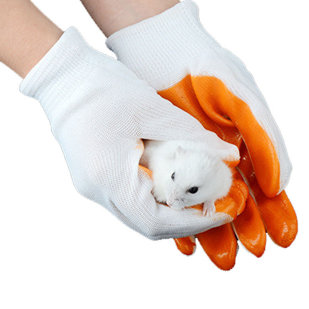 1Pair Animal Protection Gloves - Cut Resistant Glove review and price