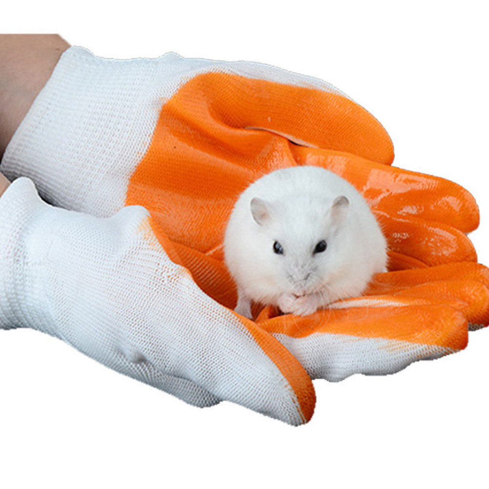 1Pair Animal Protection Gloves - Cut Resistant Glove review and price